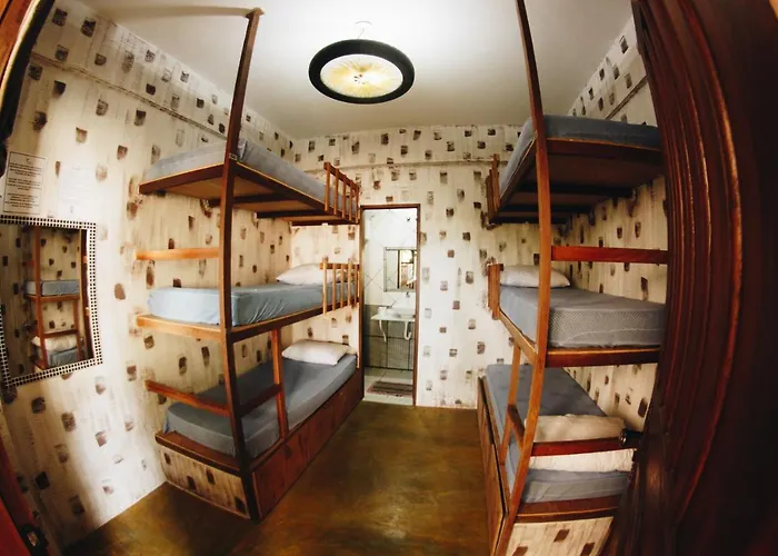 Dormitory Room Mixed